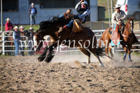 BungendoreRodeo2016-5825