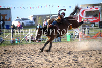 BungendoreRodeo2016-5866