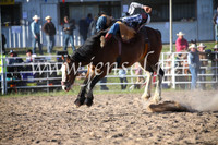 BungendoreRodeo2016-5852