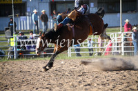 BungendoreRodeo2016-5839