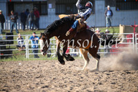 BungendoreRodeo2016-5849