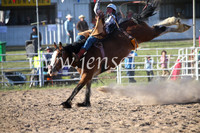 BungendoreRodeo2016-5840
