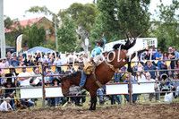 JindabyneRodeo2016_4432