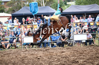JindabyneRodeo2016_4441