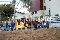 JindabyneRodeo2016_4422