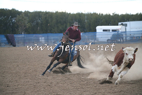 CountyCumberlandCampdraftSat_1378