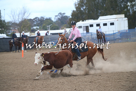 CountyCumberlandCampdraftSat_1066