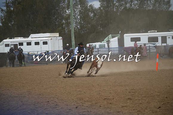 CountyCumberlandCampdraftSat_0786