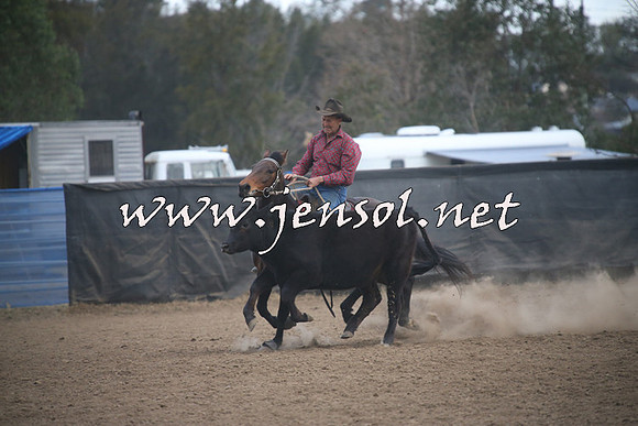 CountyCumberlandCampdraftSat_1309