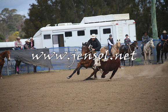 CountyCumberlandCampdraftSat_1163