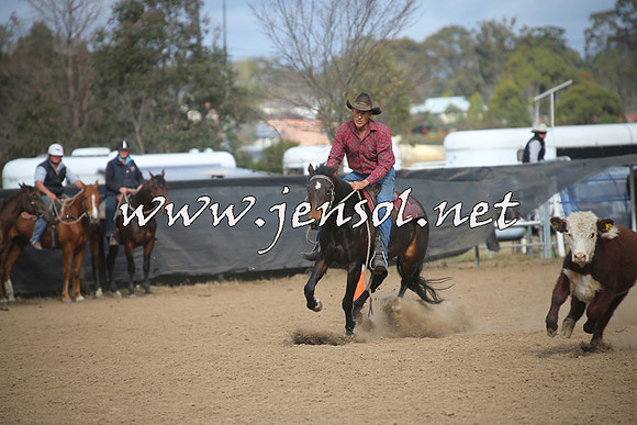 CountyCumberlandCampdraftSat_1131