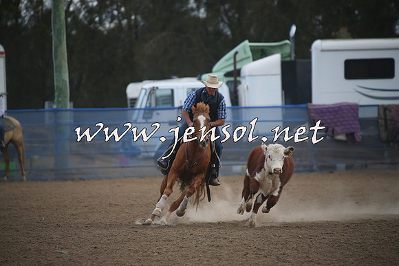 CountyCumberlandCampdraftSat_1344