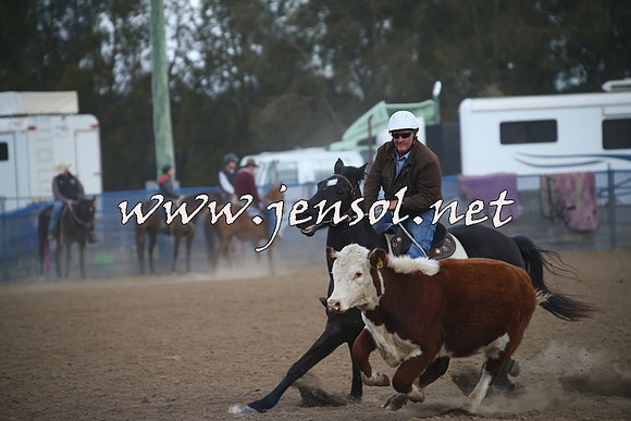 CountyCumberlandCampdraftSat_1243