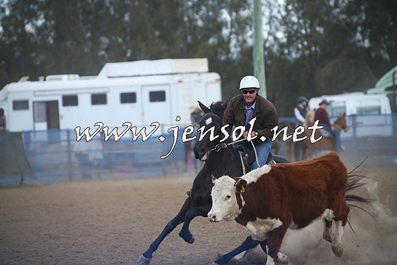 CountyCumberlandCampdraftSat_1239