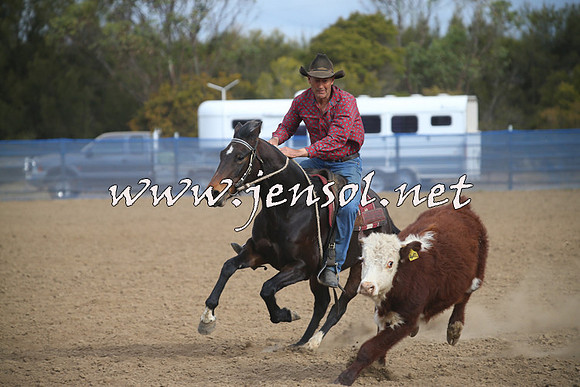 CountyCumberlandCampdraftSat_1122