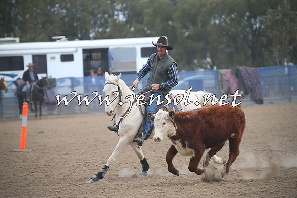 CountyCumberlandCampdraftSat_1297