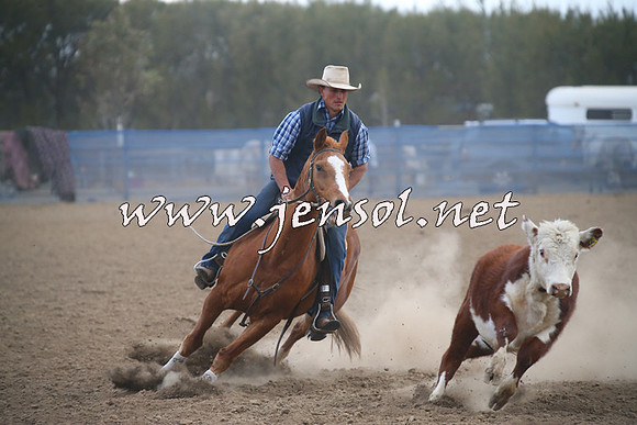 CountyCumberlandCampdraftSat_1339