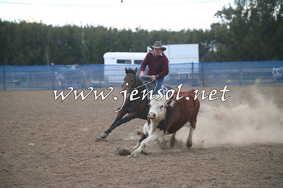 CountyCumberlandCampdraftSat_1382