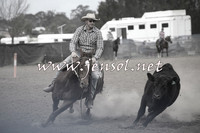 CountyCumberlandCampdraftSat_0716