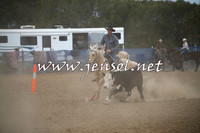 CountyCumberlandCampdraftSat_0725