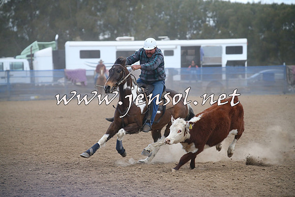 CountyCumberlandCampdraftSat_1280