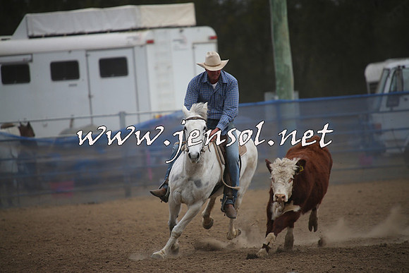 CountyCumberlandCampdraftSat_1050