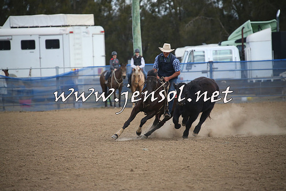 CountyCumberlandCampdraftSat_1226