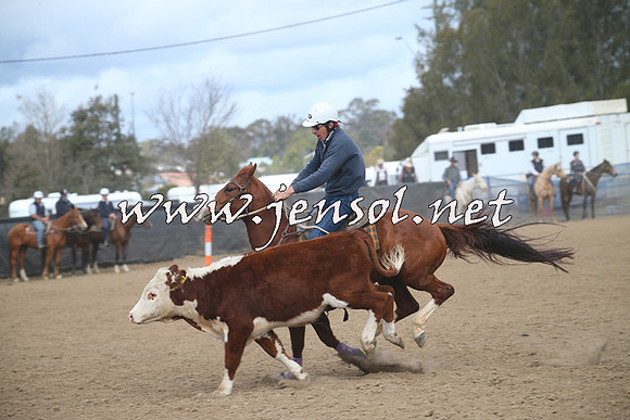 CountyCumberlandCampdraftSat_1112