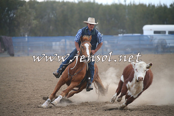 CountyCumberlandCampdraftSat_1340
