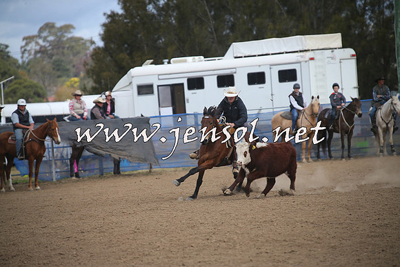 CountyCumberlandCampdraftSat_1164