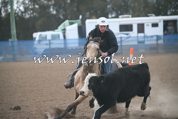 CountyCumberlandCampdraftSat_1461