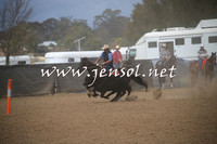 CountyCumberlandCampdraftSat_0698