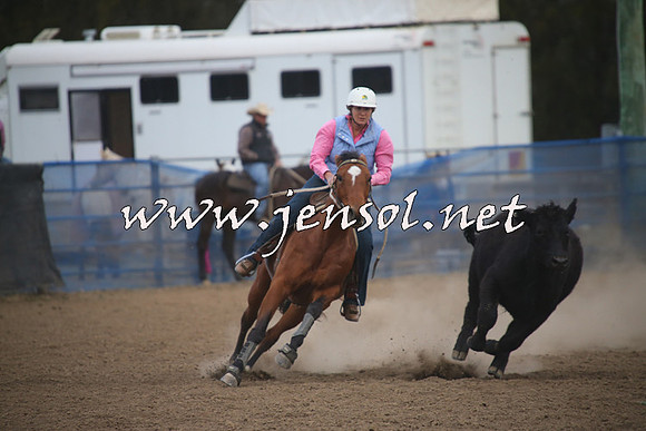 CountyCumberlandCampdraftSat_1272