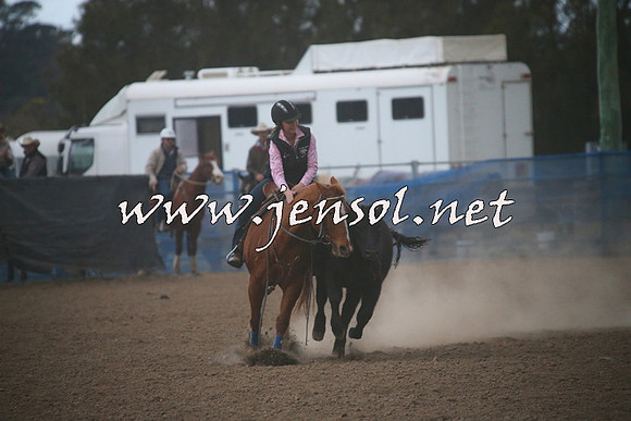 CountyCumberlandCampdraftSat_1529