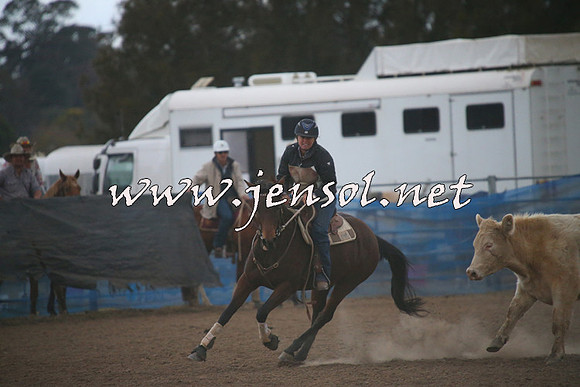 CountyCumberlandCampdraftSat_1498