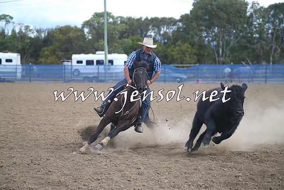 CountyCumberlandCampdraftSat_1213