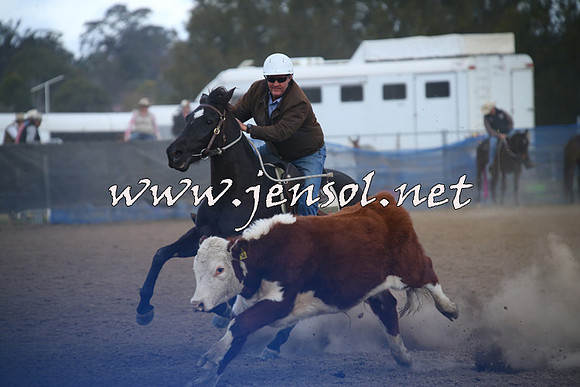 CountyCumberlandCampdraftSat_1241