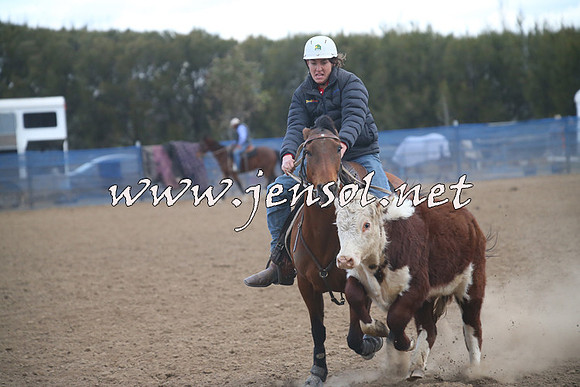 CountyCumberlandCampdraftSat_1319