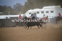 CountyCumberlandCampdraftSat_0701