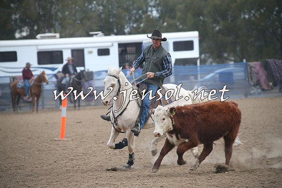 CountyCumberlandCampdraftSat_1299