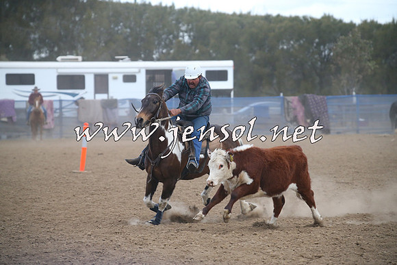 CountyCumberlandCampdraftSat_1289