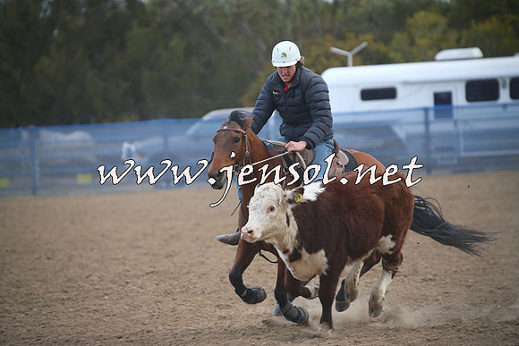 CountyCumberlandCampdraftSat_1315