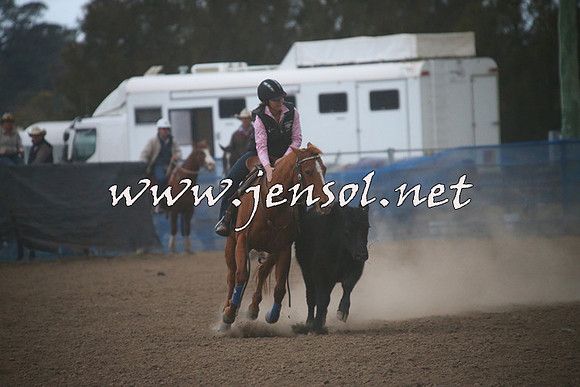 CountyCumberlandCampdraftSat_1527