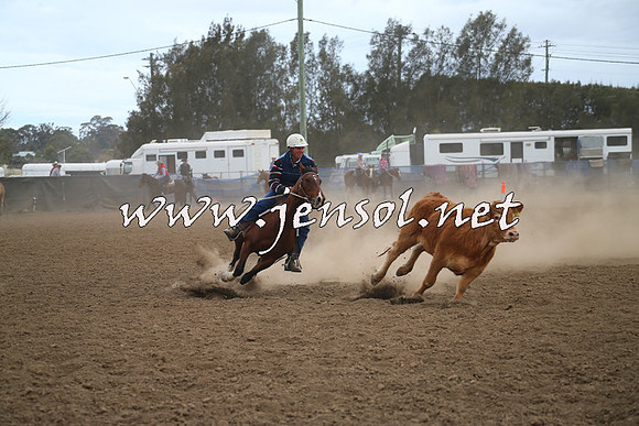 CountyCumberlandCampdraftSat_0922