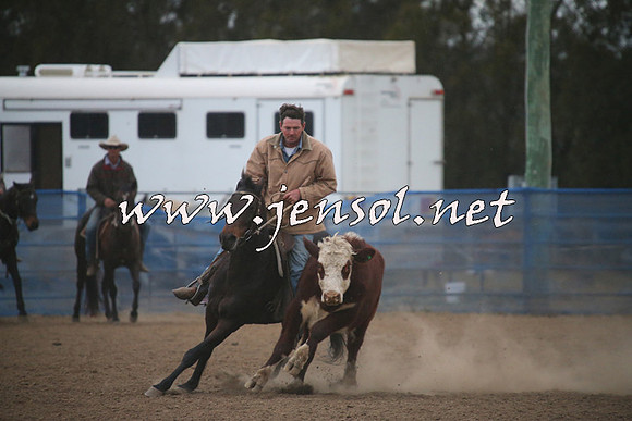 CountyCumberlandCampdraftSat_1433