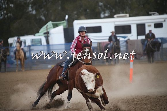 CountyCumberlandCampdraftSat_1256