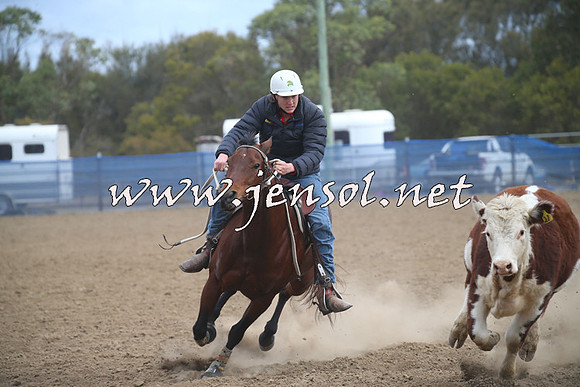 CountyCumberlandCampdraftSat_1023