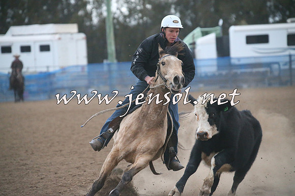 CountyCumberlandCampdraftSat_1464