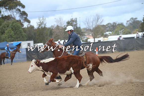 CountyCumberlandCampdraftSat_1115