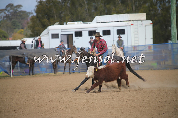 CountyCumberlandCampdraftSat_1136
